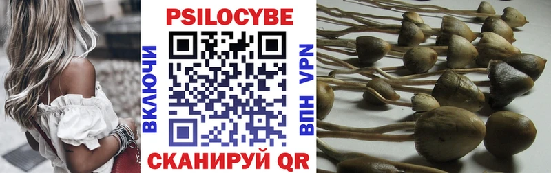 закладки  Назрань  OMG ссылки  Галлюциногенные грибы Psilocybe 