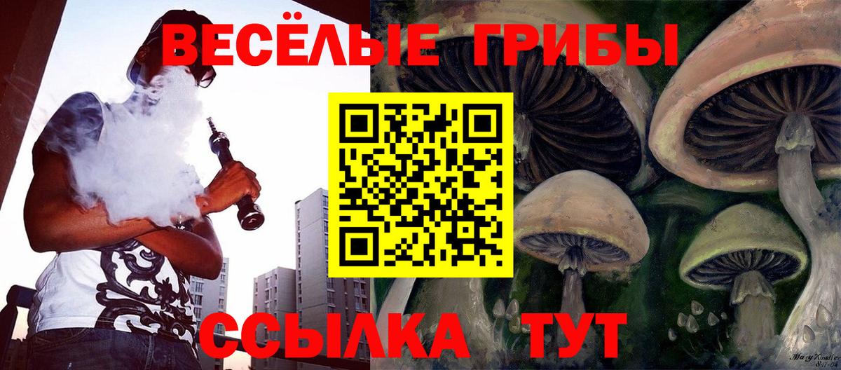 Назрань  Галлюциногенные грибы мицелий  Вход с VPN  Галлюциногенные грибы прущие грибы 