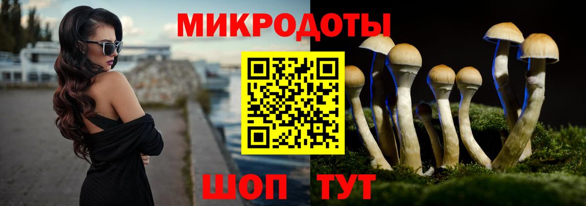 Псилоцибиновые грибы Cubensis Назрань