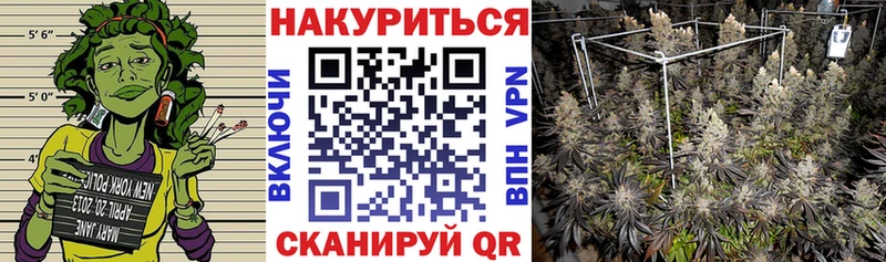 ОМГ ОМГ зеркало  Назрань  Конопля индика 